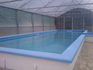 Pool in Oturehua
